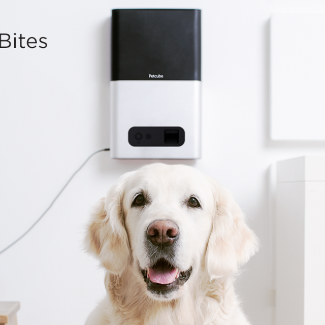 Petcube Bites