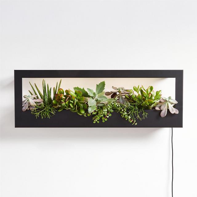 Modern Sprout Landscape Grow Frame