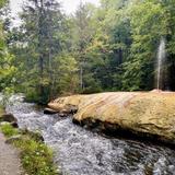 Saratoga Spa State Park