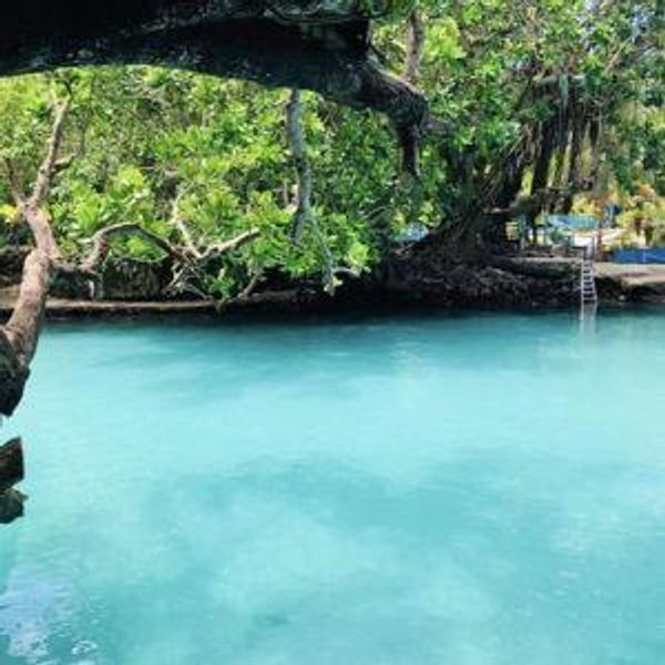 Blue Lagoon Picnic