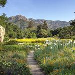 Santa Barbara Botanic Garden