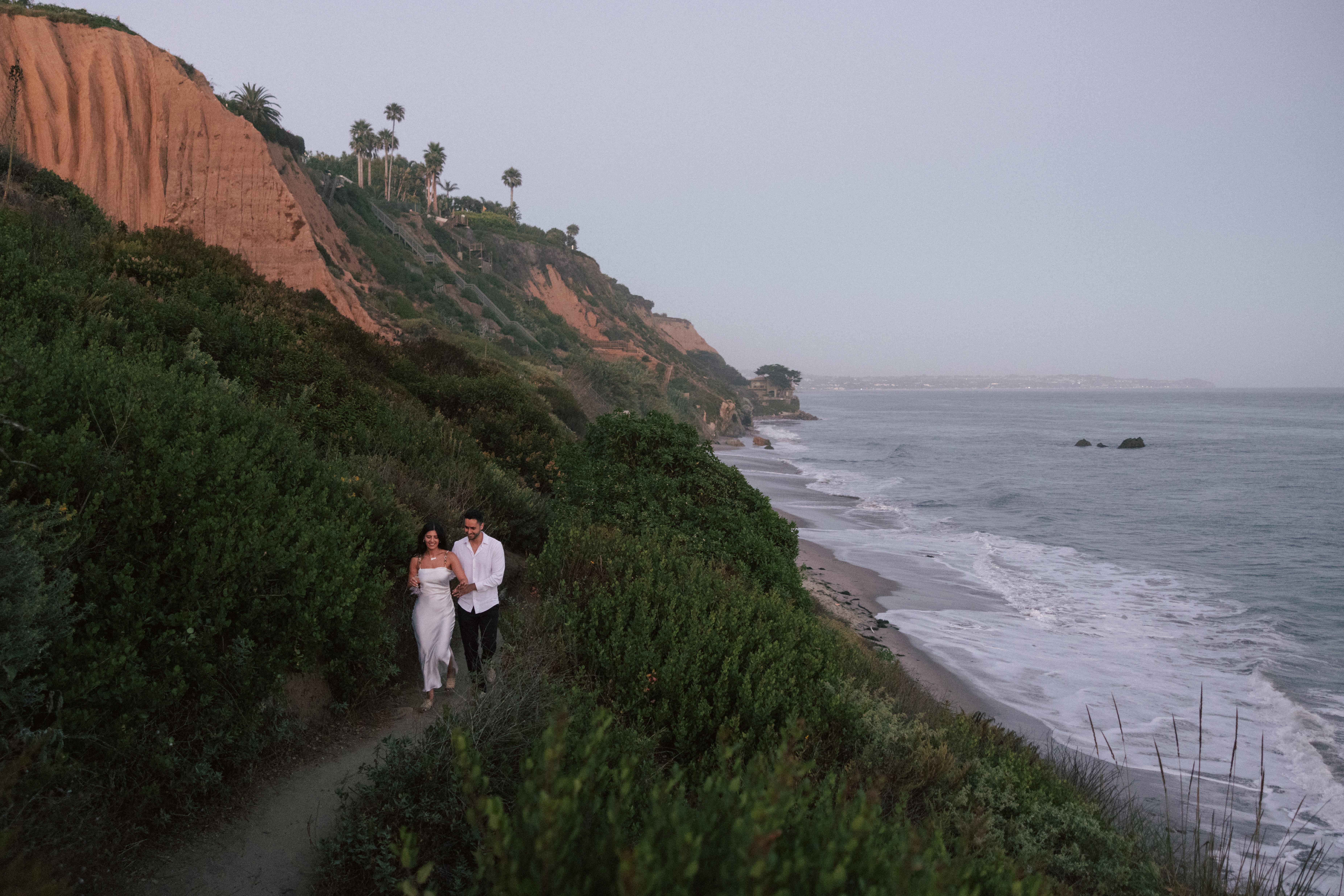 The Wedding Website of Nicole Taimoorazy and Meelad Abraham