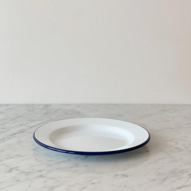 Blue and White Enamelware Dinner Plate