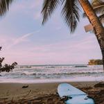 Carolina Surf School