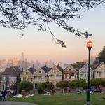 Alamo Square