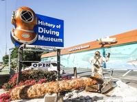 Visit the History of Diving Museum 🏊🏼‍♂️🏊🏻‍♀️