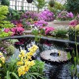 Lincoln Park Conservatory