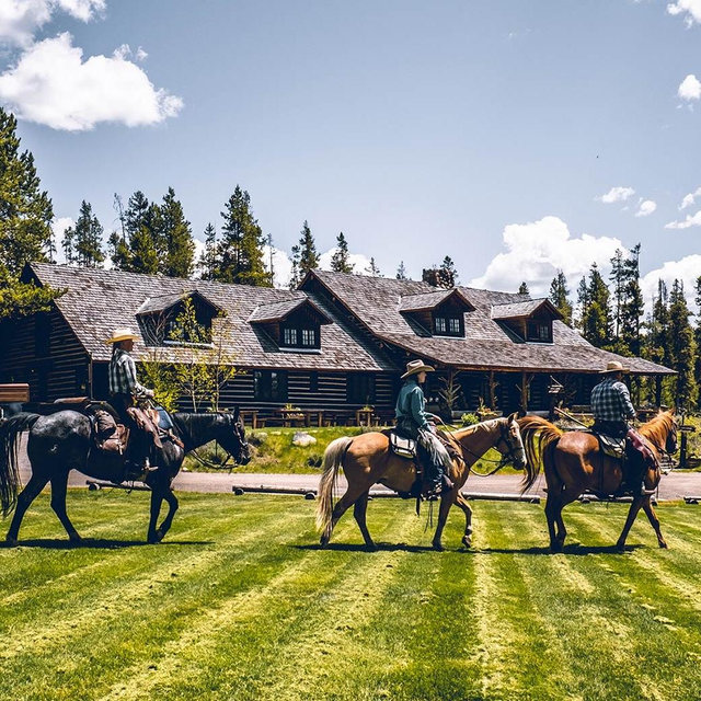 Horseback Riding On Our Honeymoon
