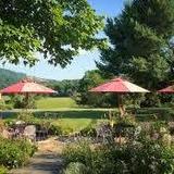 Jefferson Vineyards