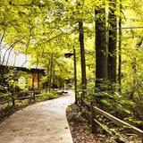 Wesselman Woods