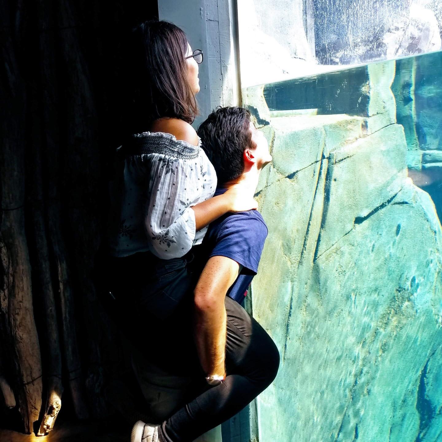 Joey and Aline's first trip to the St Louis Zoo together!