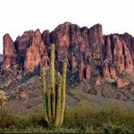 Lost Dutchman State Park