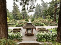 International Rose Test Garden