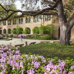 Louisiana State University