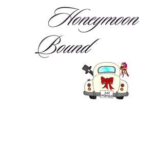 Honeymoon Fund
