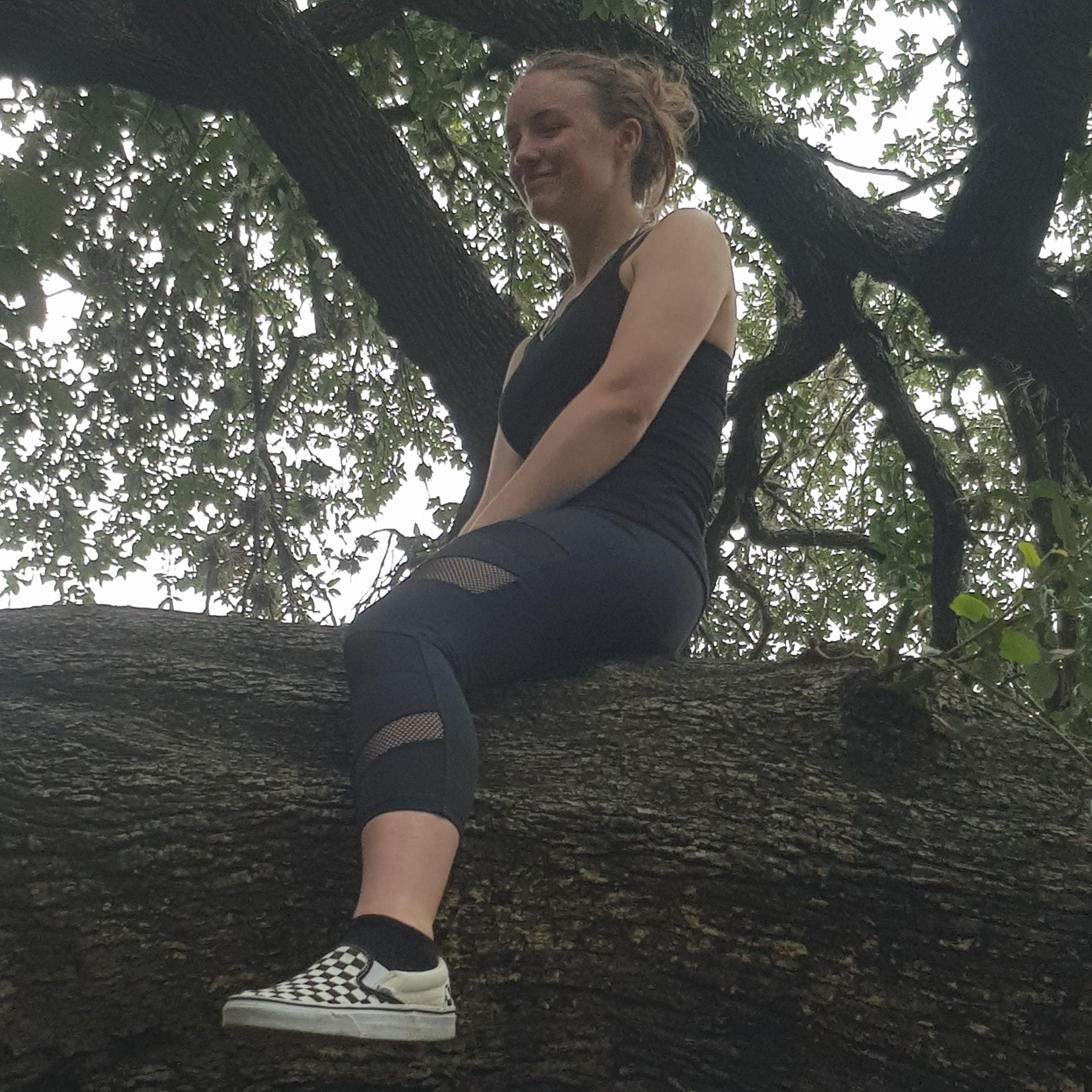 he couldn't get me out of the tree