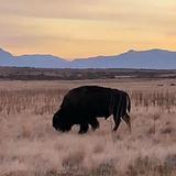 Antelope Island State Park