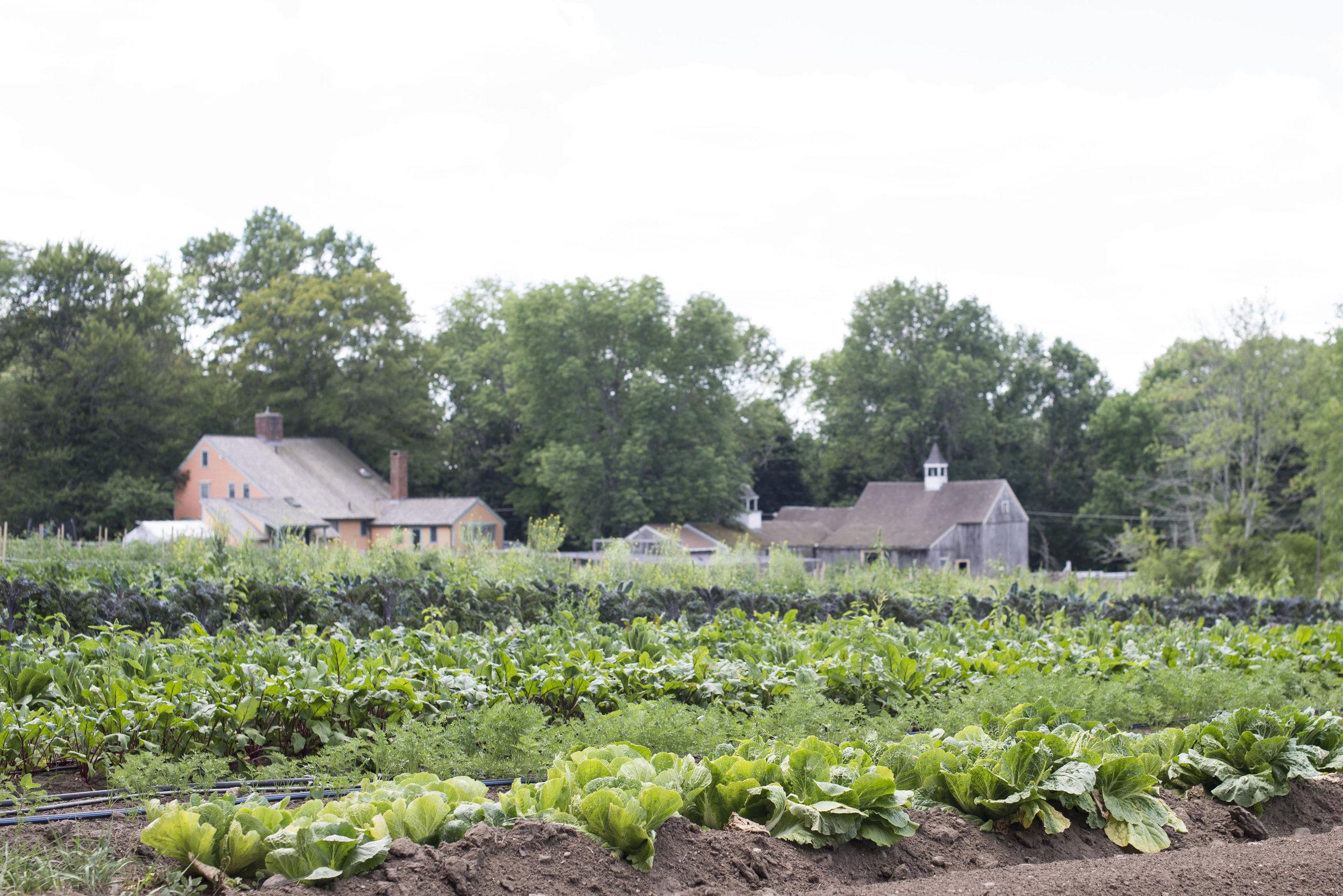 The Wedding Website of Elyssa Michael and Jim Barrett