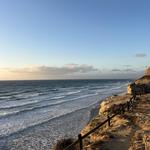 Torrey Pines State Natural Reserve