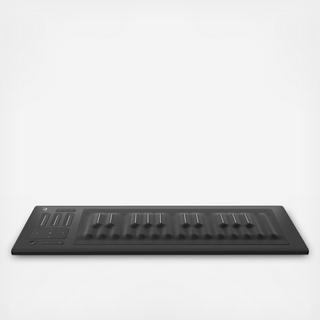 Seaboard RISE 25