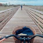 Gulf State Park
