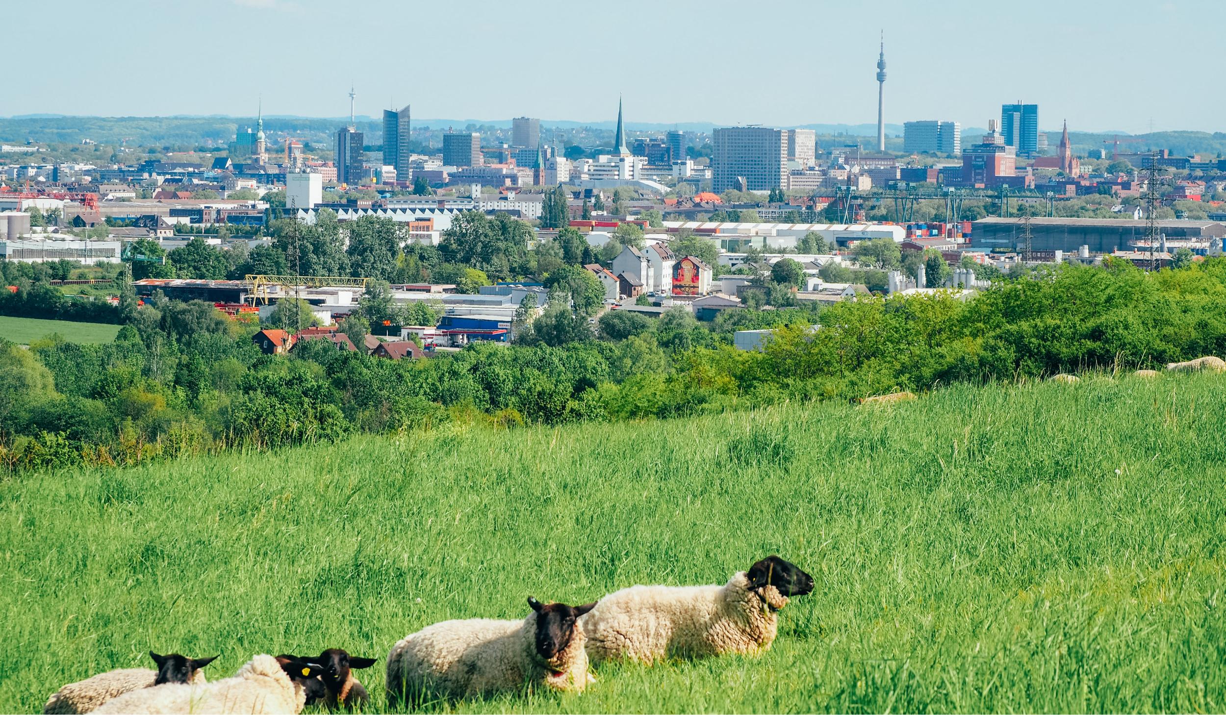 The Wedding Website of Elyse Remenapp and Patrick Frensemeier