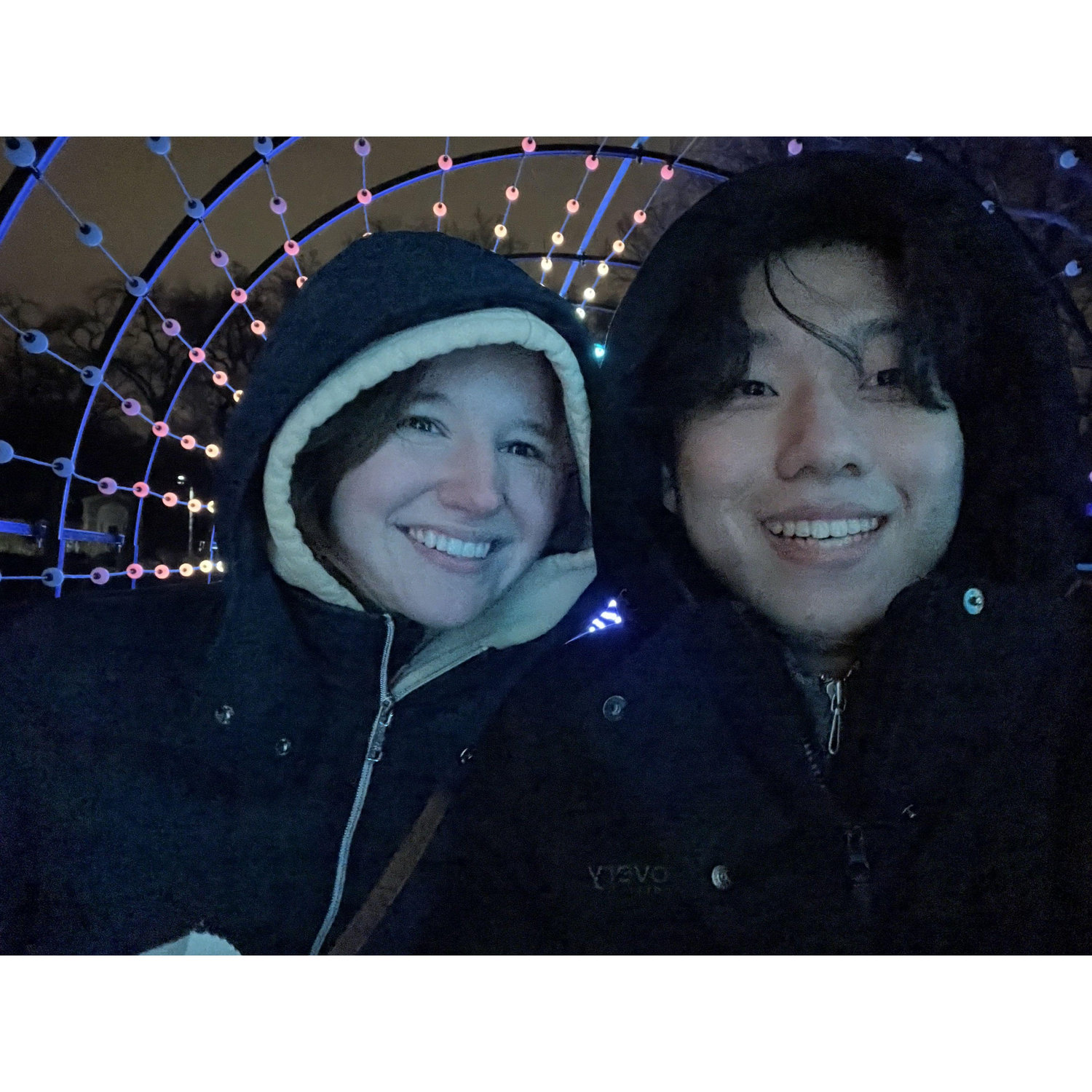 The Christmas lights at the Botanical Garden