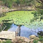 Cenote Xlach