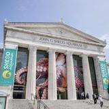 Shedd Aquarium