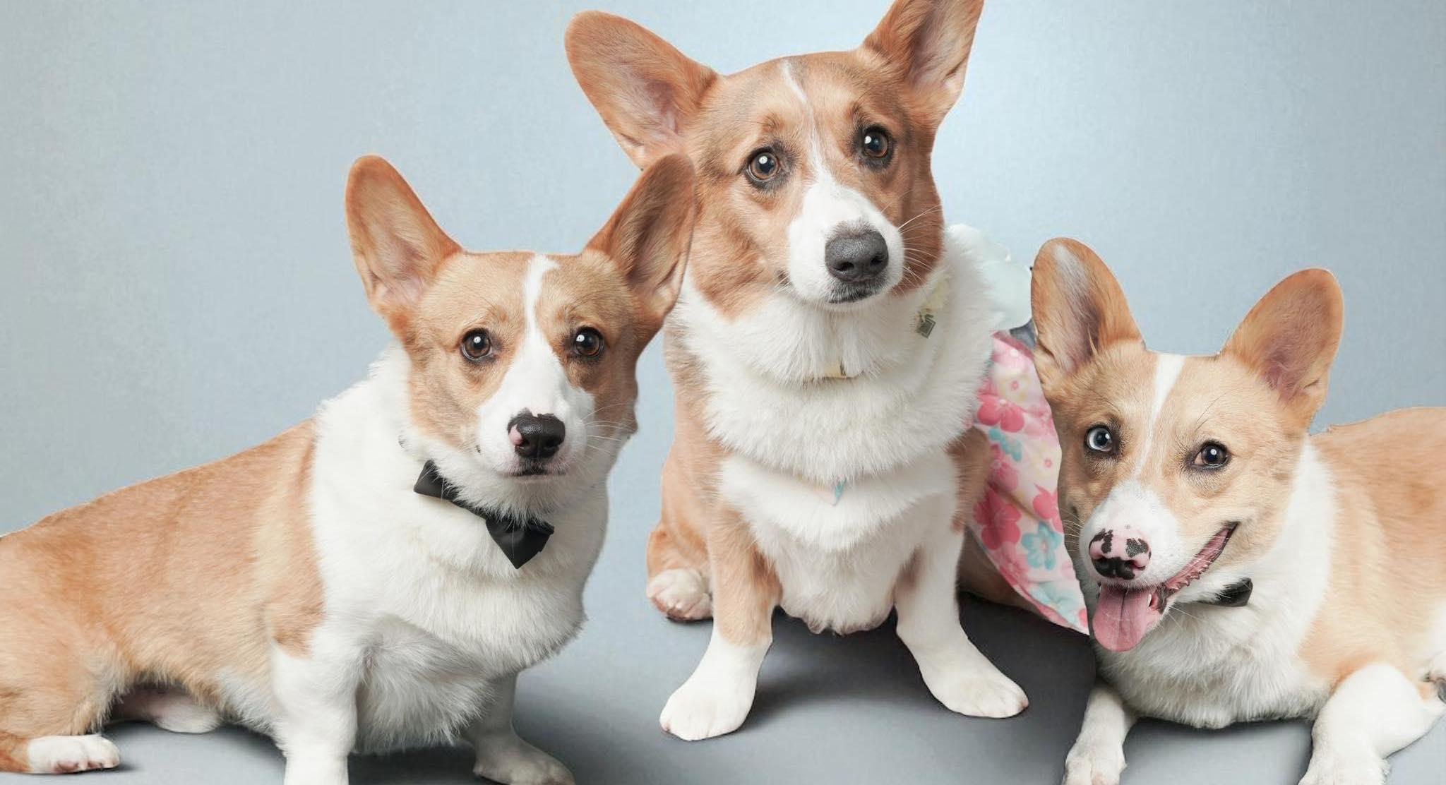 The Wedding Website of Kiara Yegorov and Yegor Yegorov