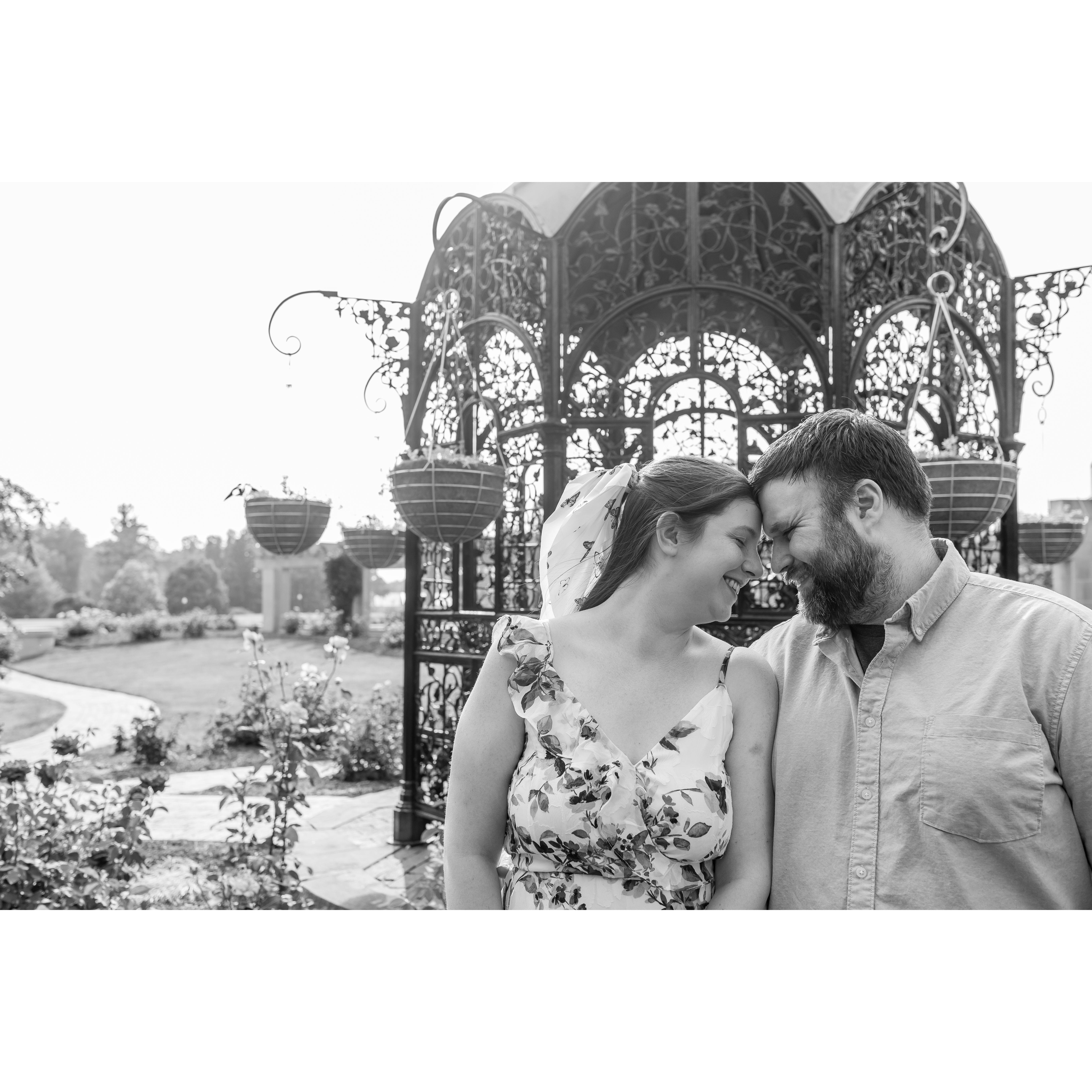 We did an Engagement photo shoot through Minnetrista's paths and gardens in June of 2023.