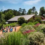 North Carolina Botanical Gardens