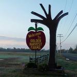 Golden Harvest Farms