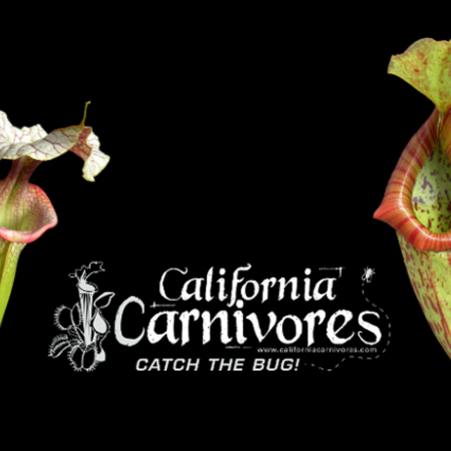 California Carnivores Gift Certificate