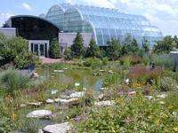 The Butterfly House