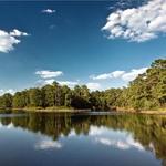 Bastrop State Park/Lake Bastrop