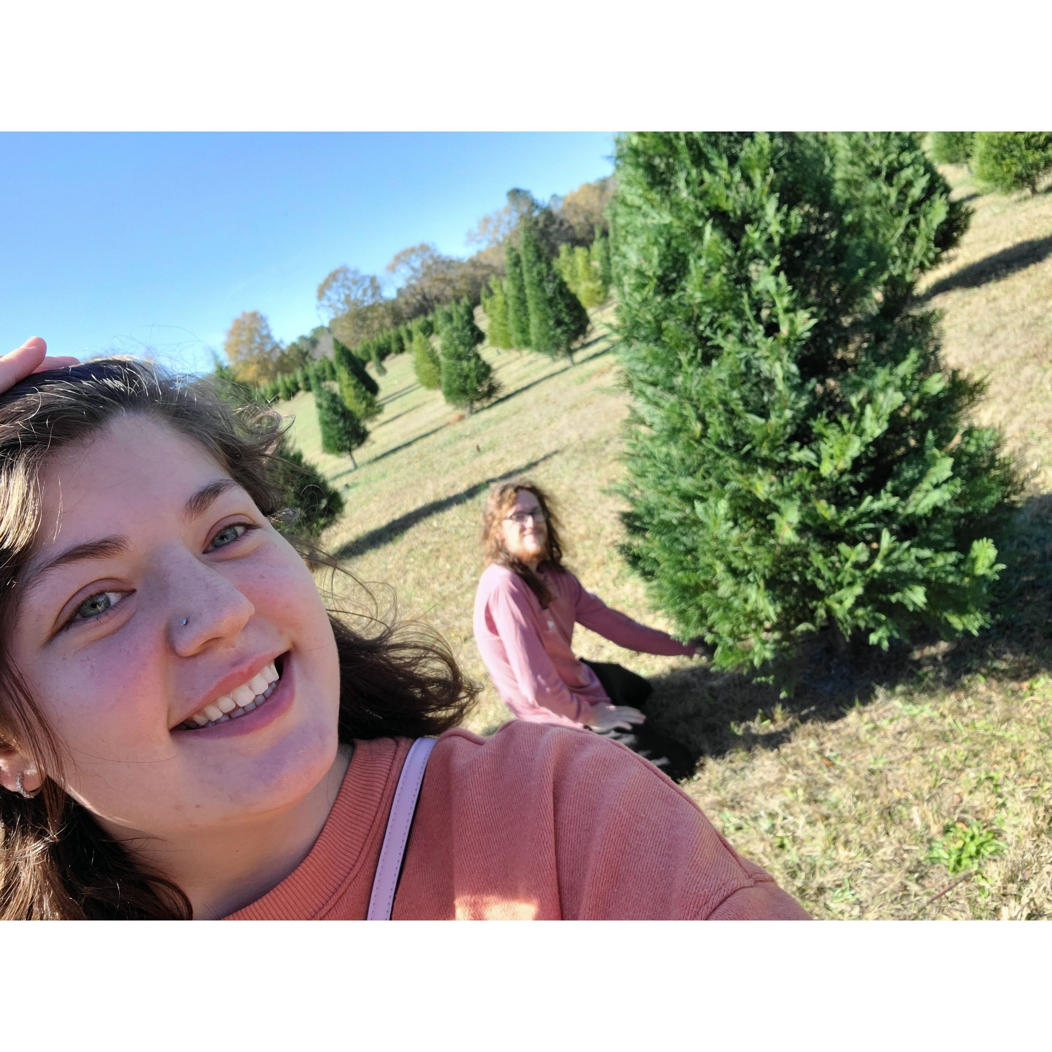 Christmas tree shopping!