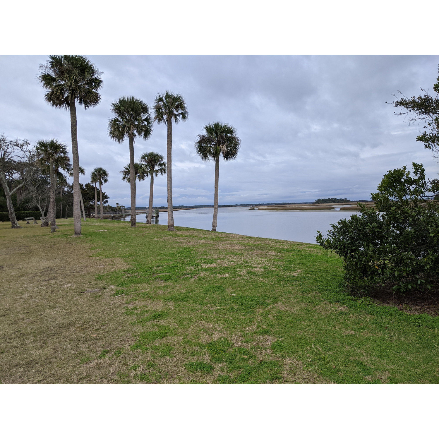 Another angle of our ceremony location! Timucuan Ecological and Historic Preserve (of which Kingsley Plantation is part of) protects 46,000 acres of unspoiled Atlantic coastal wetlands.