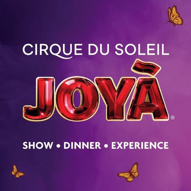 Cirque Du Soleil on our honeymoon!