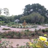 Harry P Leu Gardens