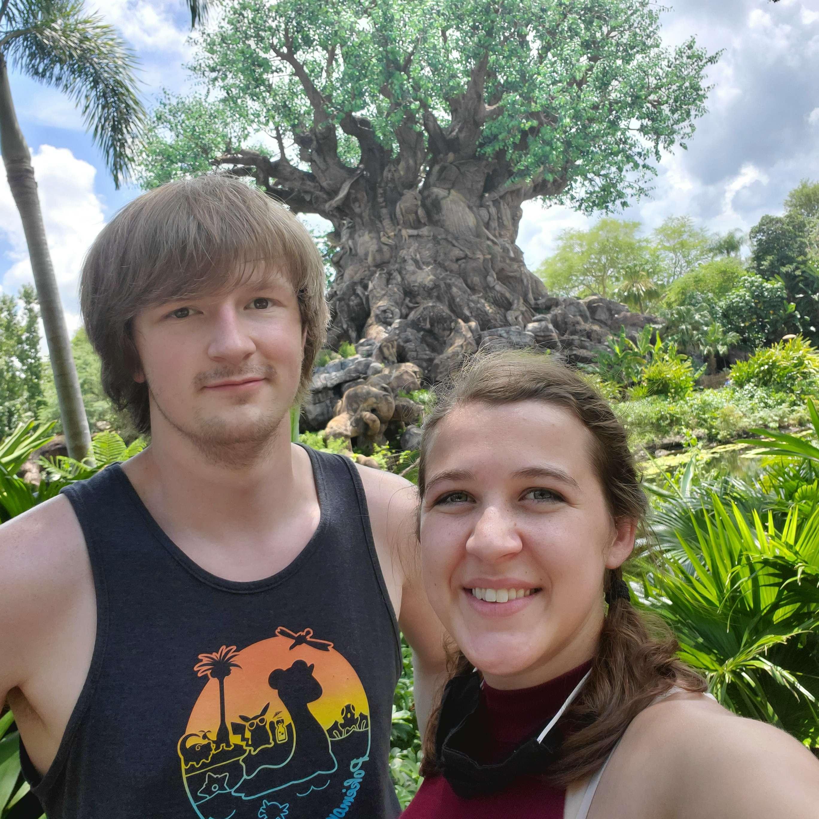 The Tree of Life at Disney Animal Kingdom