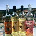 Ramona Ranch Winery