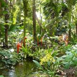 Fairchild Tropical Botanic Garden
