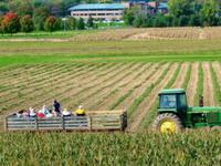 Shady Brook Farm