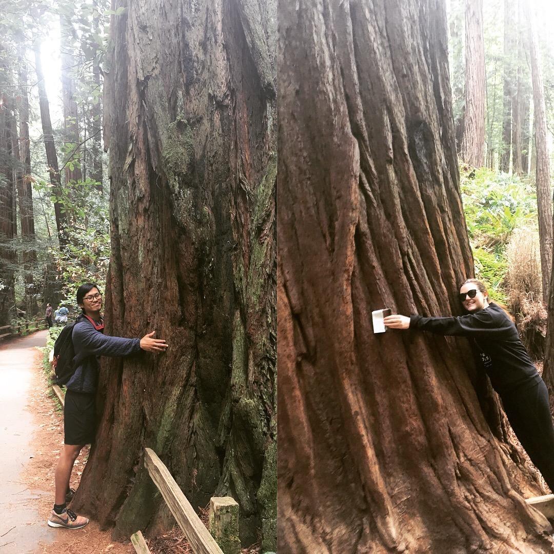 Chow joined me on a work trip to SF for a weekend, and it was so fun! I made us take pictures hugging big trees in Muir Woods - May 2018