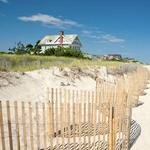 The Hamptons