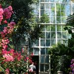 San Antonio Botanical Garden