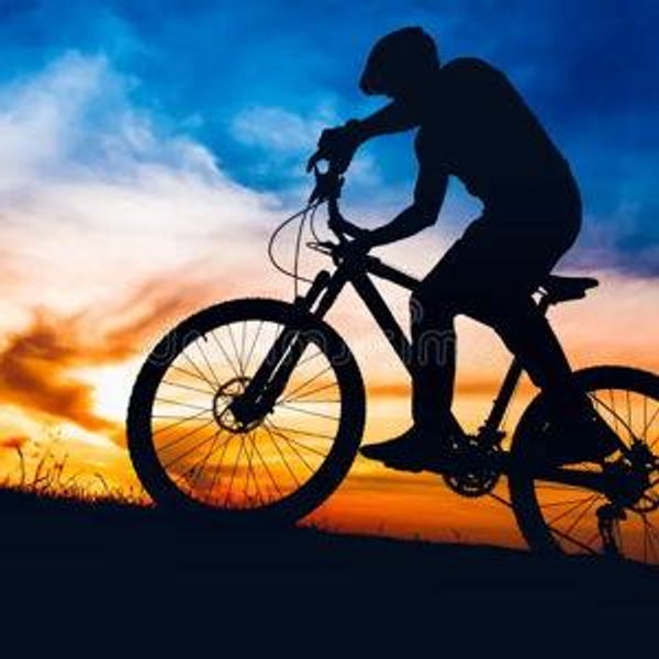 Bikes for Tam and Faith!