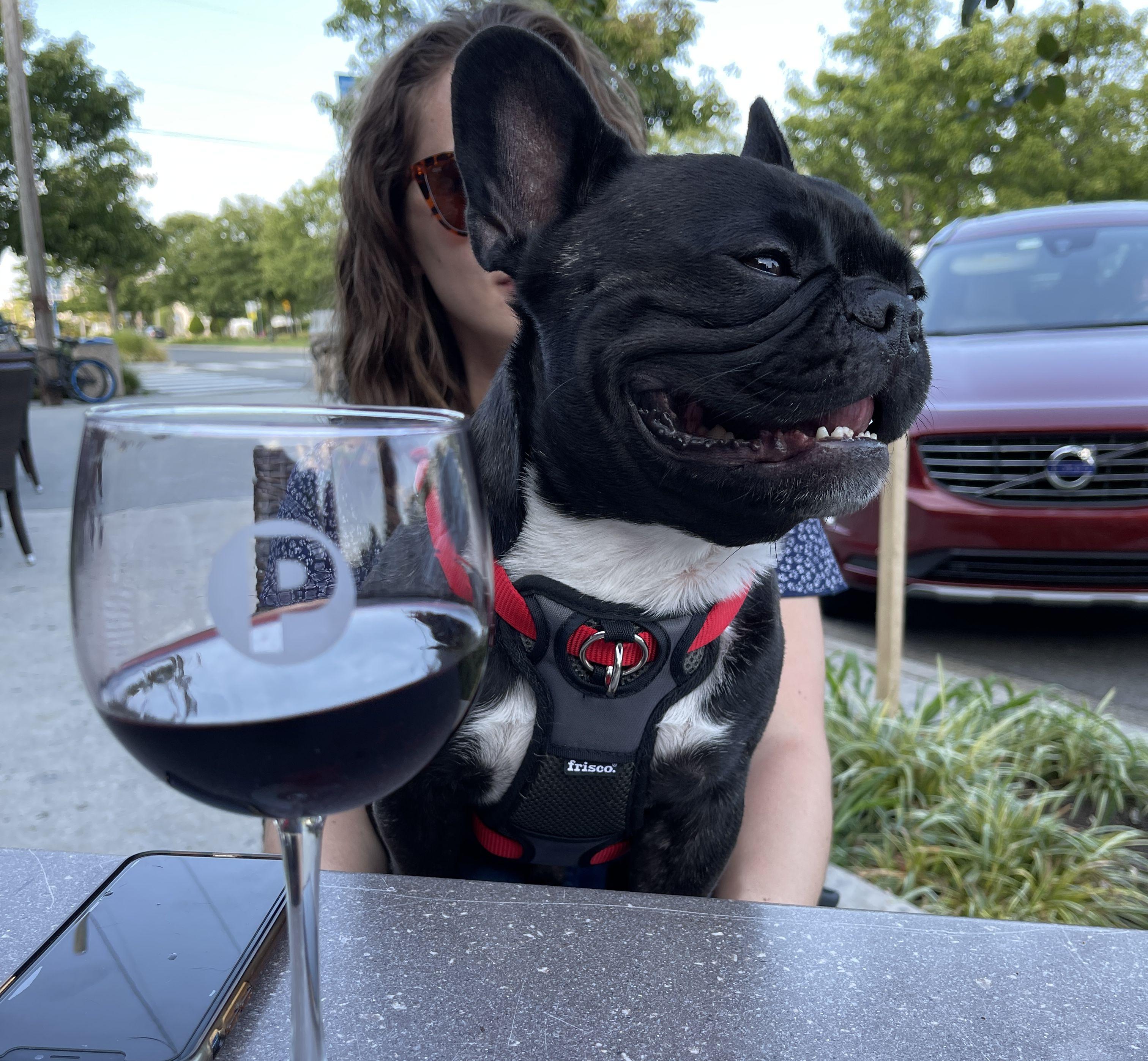 The Wedding Website of Michael Rihm and Alyssa Battaglia