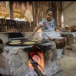 Casual Cooking Demos or Tastings